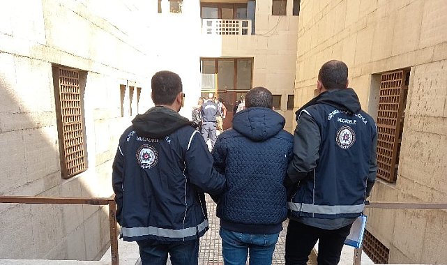 Edirne'de 251 kaçak göçmen yakalandı