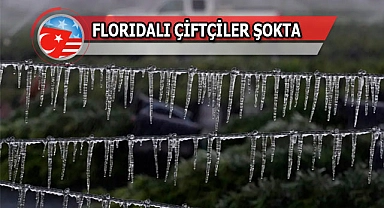 Florida'da Dondu