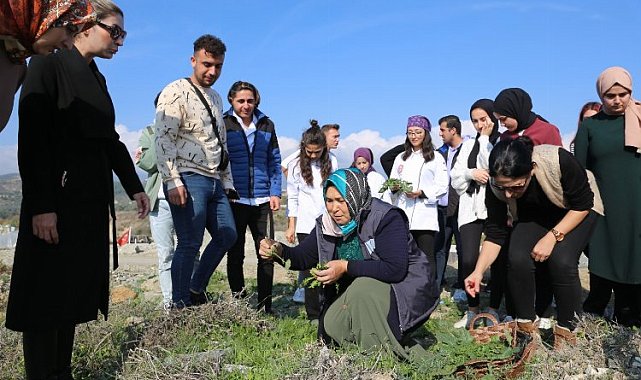 Hatay'da yenebilir otlar öğretildi