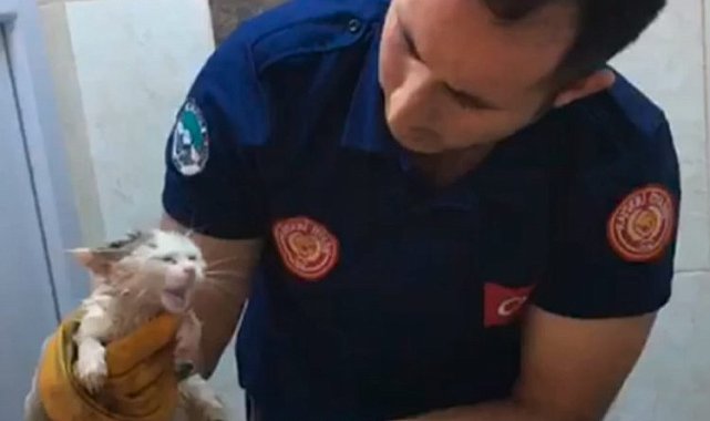 Kayseri itfaiyesi minik kediyi kurtardı
