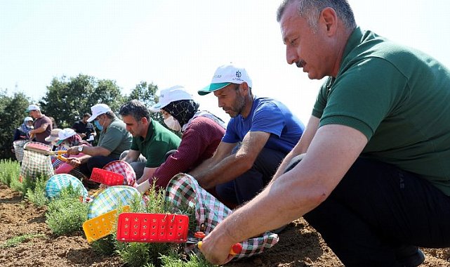 Kocaeli Büyükşehir SBÜ ile kentsel araştırma işbirliğinde