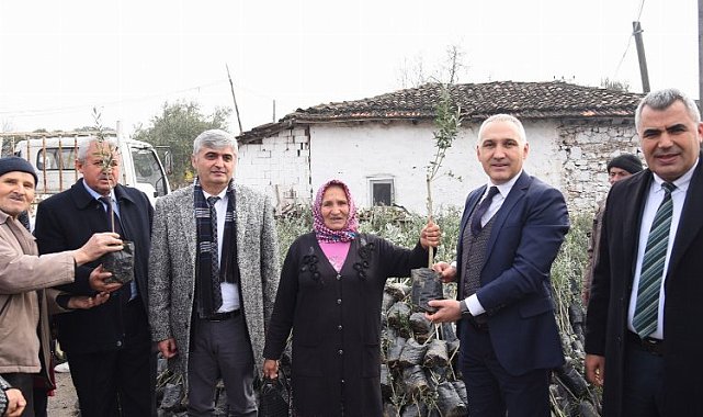 Manisa'da tarım arazisi yanan üreticilere fidan desteği