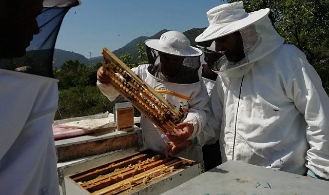 Muğla'da GEKA arıcılık sektörüne yön veriyor