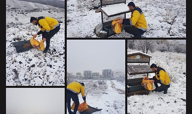 Nevşehir Belediyesi'nden can dostlara yakın ilgi
