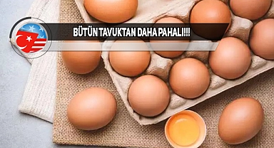 ABD'de Artan Yumurta Fiyatları Tartışılıyor!