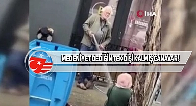 ABD'de Evsize Eziyet Eden Galerici Tutuklandı