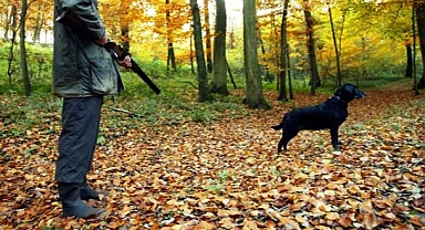 ABD'de Tüfeğin Tetiğine Basan Köpek, Sahibini Öldürdü