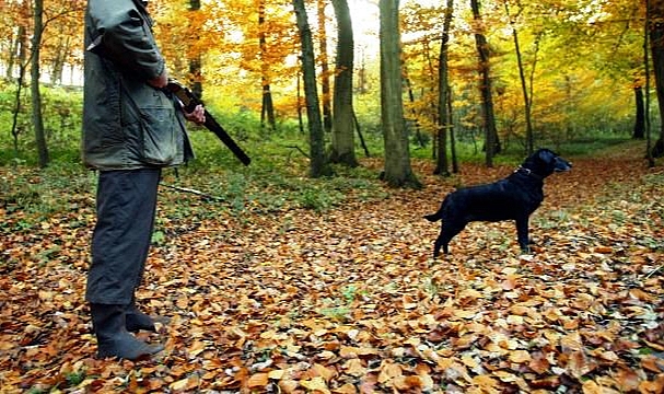 ABD'de Tüfeğin Tetiğine Basan Köpek, Sahibini Öldürdü