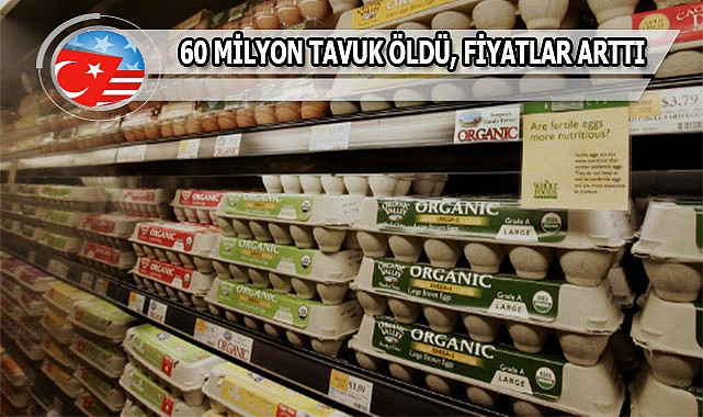 Amerika'da Yumurta Krizi Büyüyor: Fiyatlar Artıyor