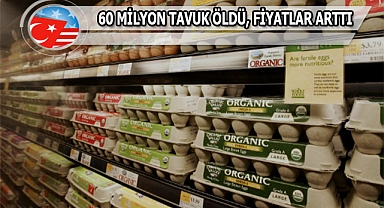 Amerika'da Yumurta Krizi Büyüyor: Fiyatlar Artıyor