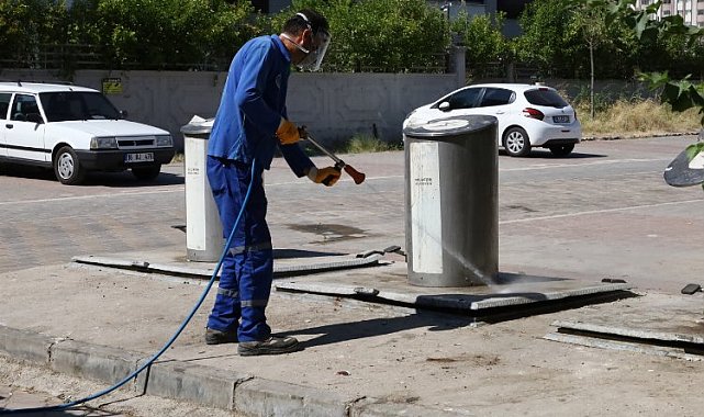 Bursa'nın sinekle mücadelesi laboratuvara taşındı