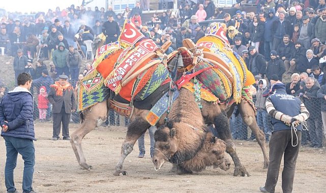 Develer Bergama'da güreşecek