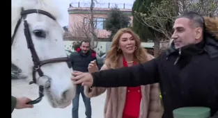 Doğuş eşine doğum günü hediyesi olarak yarış atı aldı!