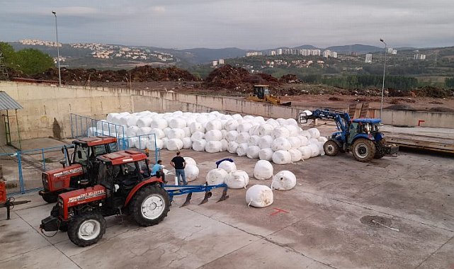 İzmit Belediyesi, ürettiği silajları üreticilere ücretsiz dağıtacak