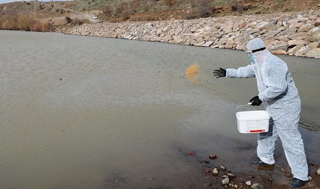 Kayseri Talas'ta böceklere karşı seferberlik