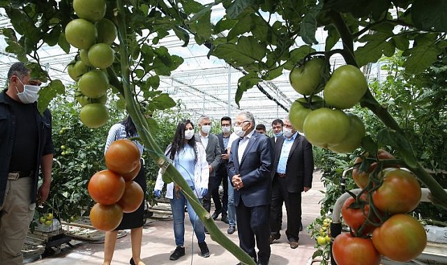 Kayseri'de 13.9 milyon atık bertaraf oldu