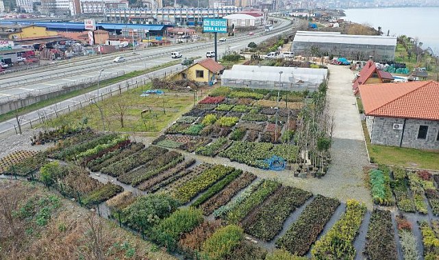 Rize'de 300 bitki türü üretiliyor
