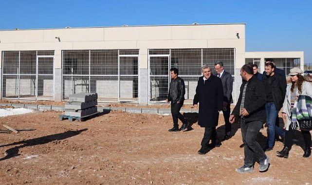 Sokak hayvanlarına sıcak yuva