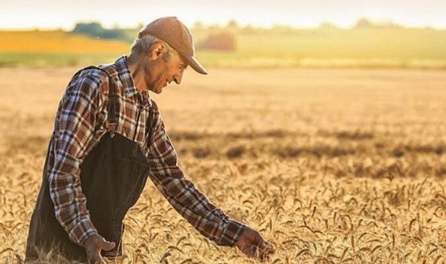 Tarım-ÜFE yüzde 151 arttı