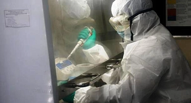 ABD'de İlaca Dirençli "Shigella" Uyarısı