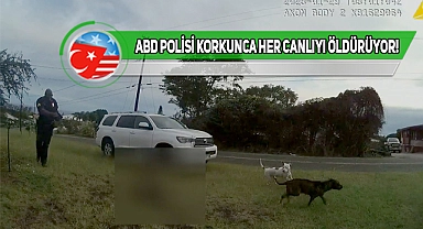 ABD Polisi Bu Defa Da Köpek Öldürdü!