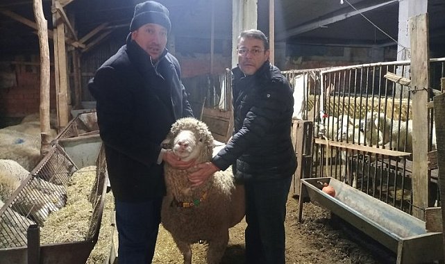 Bilecikli çiftçi sözünü tuttu... Depremzedelere bağış yapana koçunu teslim etti
