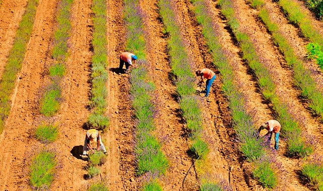 Cennet Vadisi Türkiye'ye ve dünyaya şifa oldu