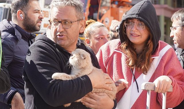 Diyarbakır'da son kedi de kurtarıldı!