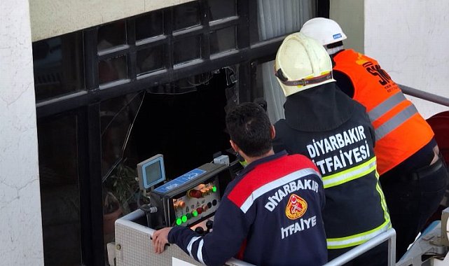 Diyarbakır'da yıkım durduruldu, kediler kurtarıldı!