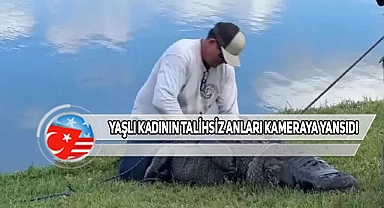 Florida'da Köpeğini Gezdiren Kadına Timsah Saldırdı