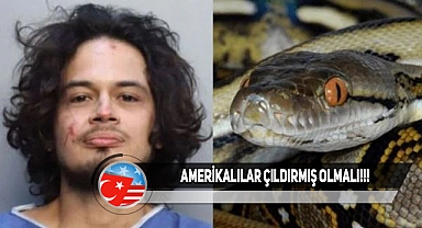Florida'lı Adam Evcil Pitonunu Isırarak Öldürdü