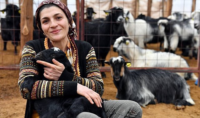 Hayvancılıkta üreticilerin desteklerle yüzleri güldü