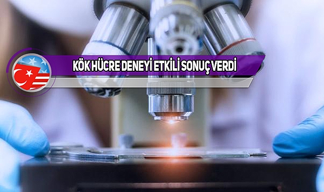 Parkinson Tedavisinde Umut Verici Gelişme!