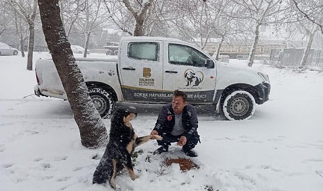 Sokak hayvanları unutulmadı