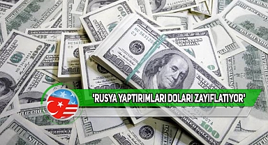 ABD Doları Güç Kaybediyor