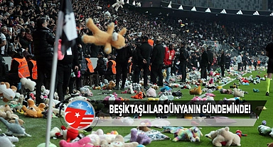 ABD Haberleri Beşiktaş Seyircisini Konu Etti