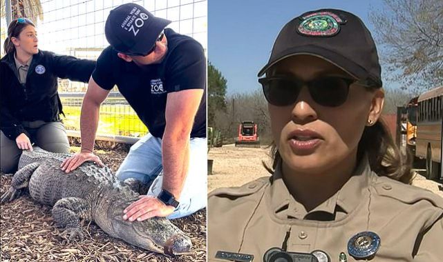 Alligator stolen from Texas zoo as an egg or hatchling is returned