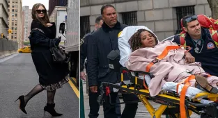 Anna Delvey's ex-lawyer COLLAPSES in court and is taken away ambulance