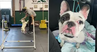'Demon dog' Ralphie is finally learning 'impulse control'