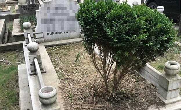Asri Mezarlık'ta garip hırsızlık olayı