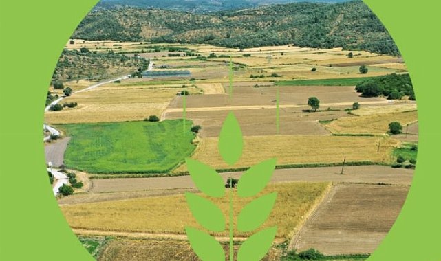 Bodrum'un 'Topraksız Tarım Projesi'ne onay