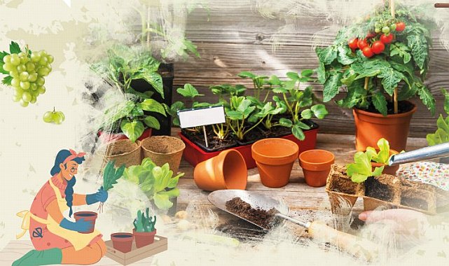 Bursa Osmangazi Belediyesi 'ekolojik' eğitecek