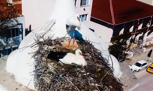 Bursa Yenişehir'de Şungar çifti geleneği bozmadı