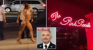 California fire dept finalizes probe into exotic dancer in truck