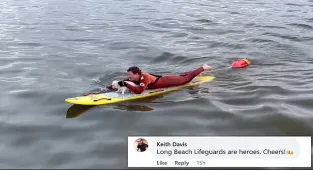 California lifeguard rescues stranded dog swimming in the ocean