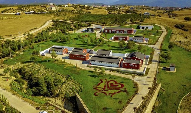 Can dostlar yeni yuvalarına kavuşuyor