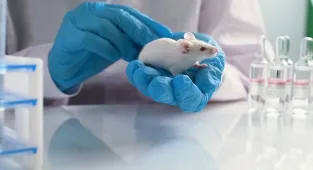 Cancer vaccine trials in mice shown to reduce tumours 80% of the time