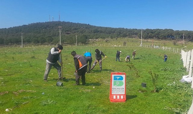 Çöplerin yerini zakkum çiçekleri alıyor
