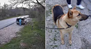 Dallas police searching for man who abandoned dog on country road