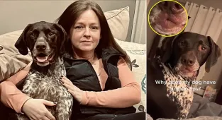 Dog with 'human lips' blows his owner kisses